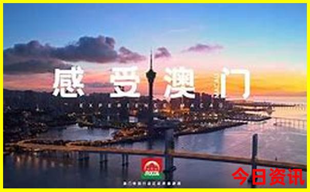 2025十二生肖表查询